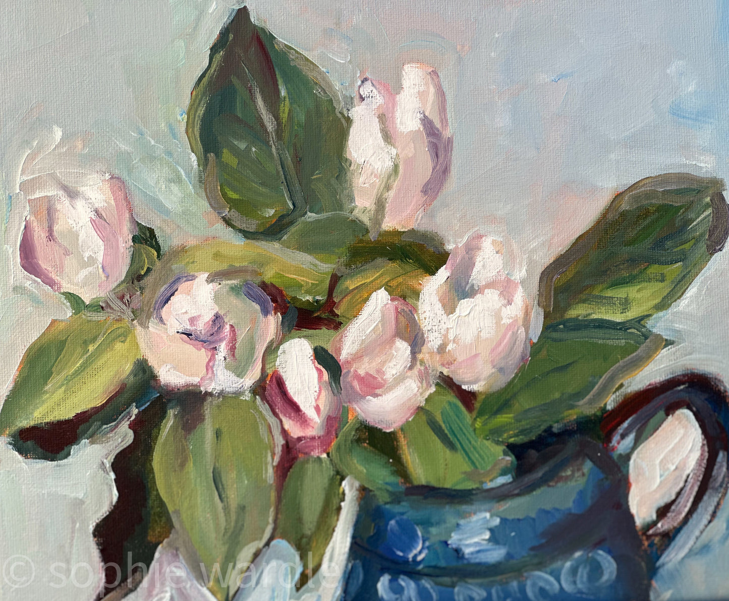 pear blossom in a jug