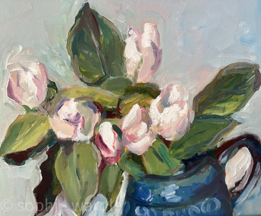 pear blossom in a jug